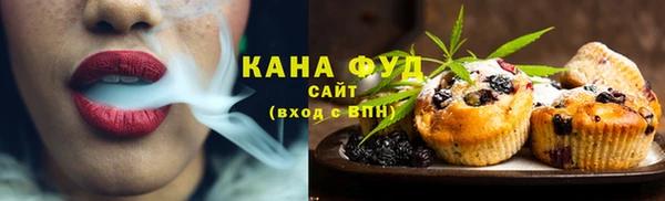 прущие грибы Абаза