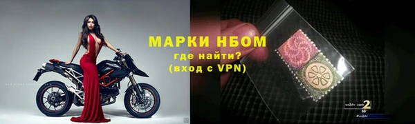 прущие грибы Абаза