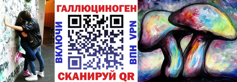 Галлюциногенные грибы Psilocybe  Миллерово 
